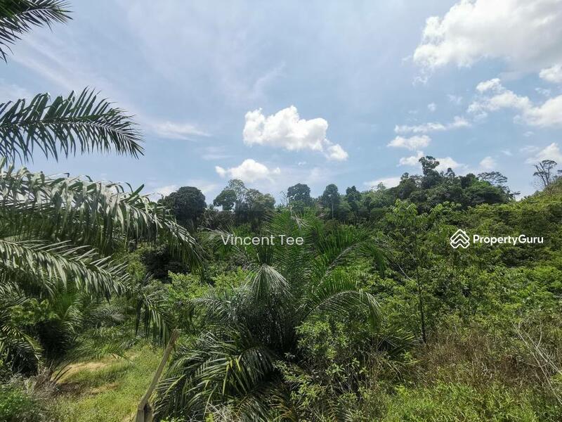 Agricultural Land for Sale in Segari (Lumut) - Vincent Tee - PropertyGuru.com.my