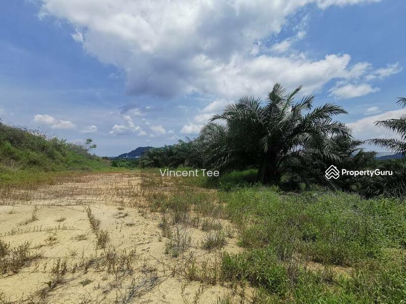 Agricultural Land for Sale in Segari (Lumut) - Vincent Tee - PropertyGuru.com.my