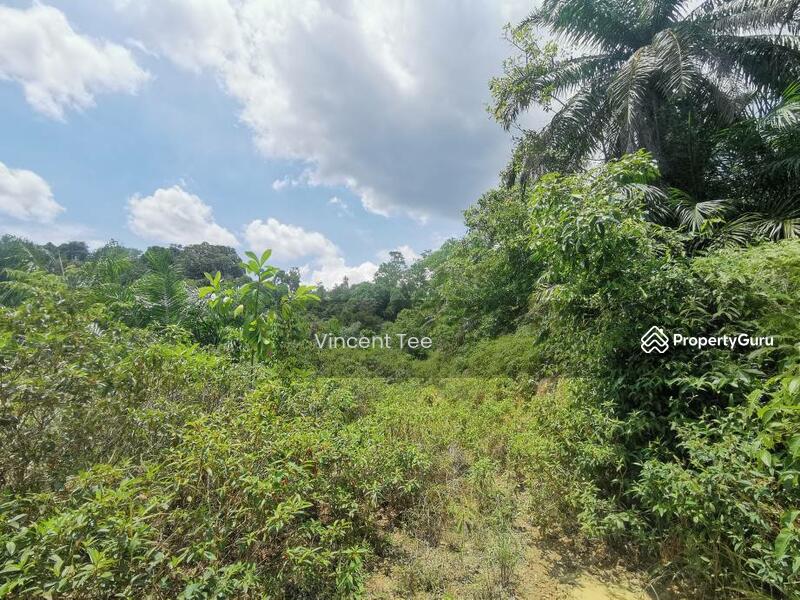 Agricultural Land for Sale in Segari (Lumut) - Vincent Tee - PropertyGuru.com.my