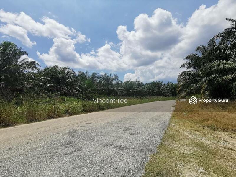 Agricultural Land for Sale in Segari (Lumut) - Vincent Tee - PropertyGuru.com.my