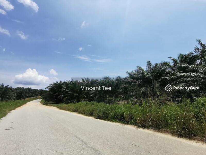 Agricultural Land for Sale in Segari (Lumut) - Vincent Tee - PropertyGuru.com.my