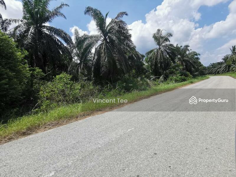 Agricultural Land for Sale in Segari (Lumut) - Vincent Tee - PropertyGuru.com.my
