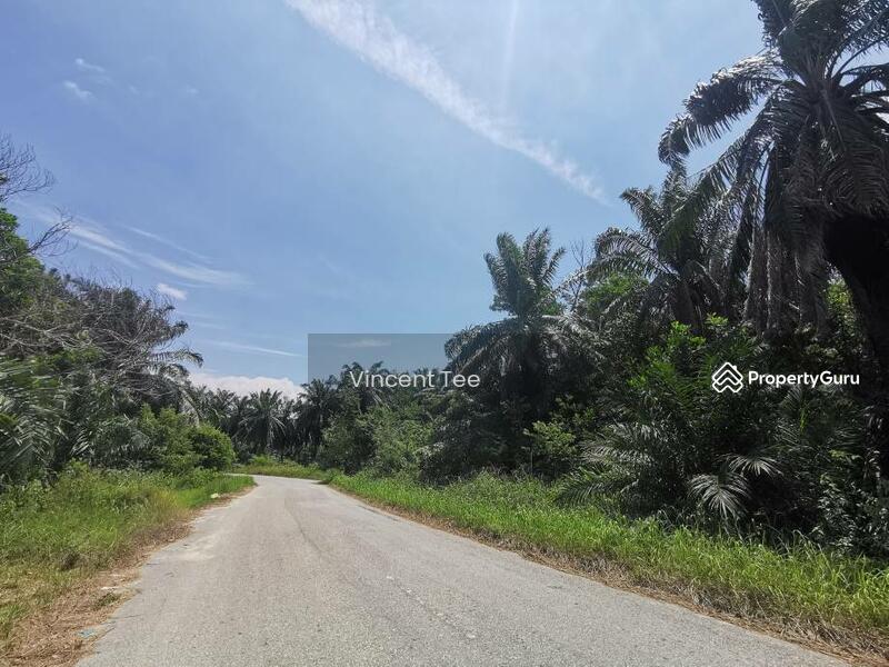 Agricultural Land for Sale in Segari (Lumut) - Vincent Tee - PropertyGuru.com.my
