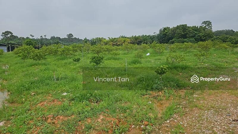 For Sale - Pekan Nanas Land