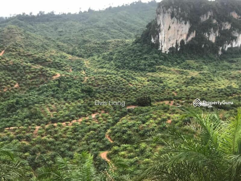 For Sale - Agriculture land at Gua Musang