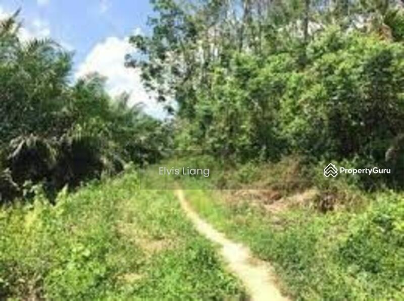 Untuk Dijual - Agriculture land at Alor Gajah