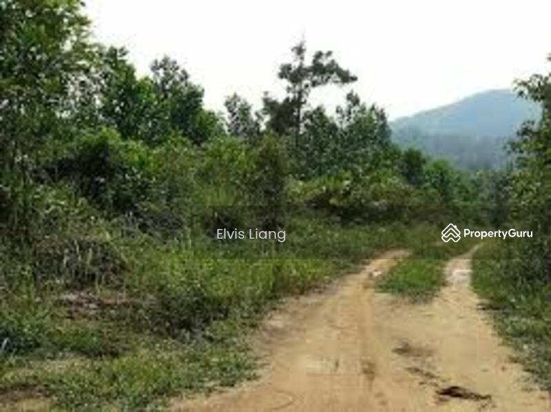 Untuk Dijual - Agriculture land at Alor Gajah