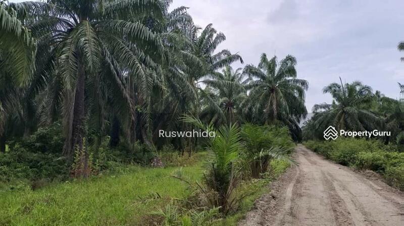 Agricultural Land for Sale in Balik Pulau (Penang) - Ruswahida . - PropertyGuru.com.my