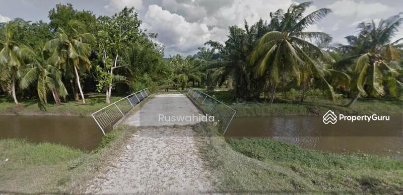 Agricultural Land for Sale in Balik Pulau (Penang) - Ruswahida . - PropertyGuru.com.my