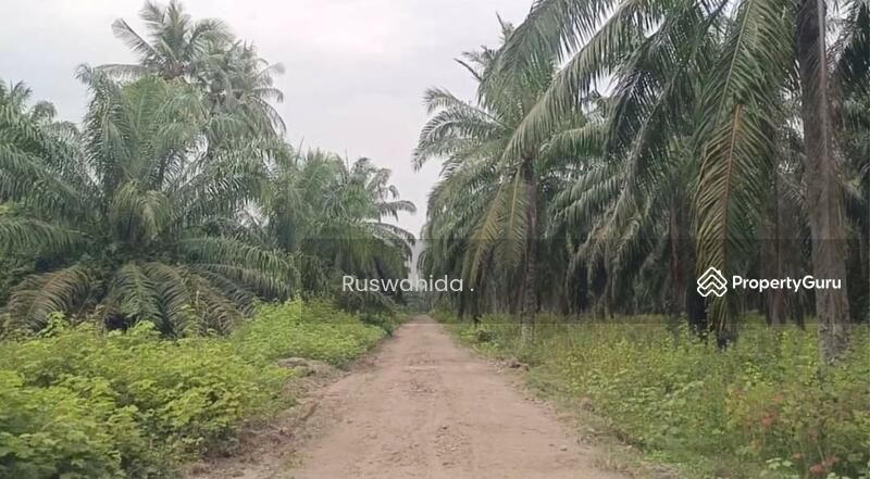 Agricultural Land for Sale in Balik Pulau (Penang) - Ruswahida . - PropertyGuru.com.my
