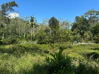 For Sale - Agriculture land at Karak