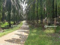 For Sale - KAMPUNG AIR JERNIH, KEMASIK, KEMAMAN, KIJAL, CHUKAI