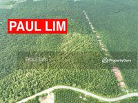 For Sale - LAND SALE 5 MIN TO KUALA KETUL TOWN AGRICULTURAL LAND MAIN ROAD 129.42 ACRE RM8.50 PER SQFT