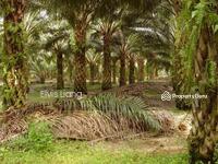 For Sale - Industrial land at Kuala Lipis