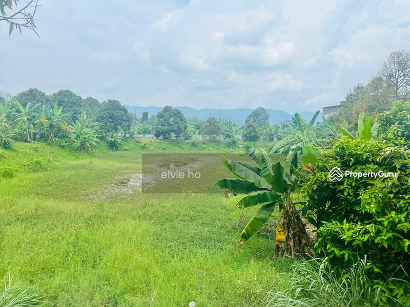 Agriculture land at Mantin, kampong rawa, Mantin, Negeri Sembilan