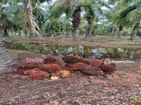 For Sale - Bestari Jaya