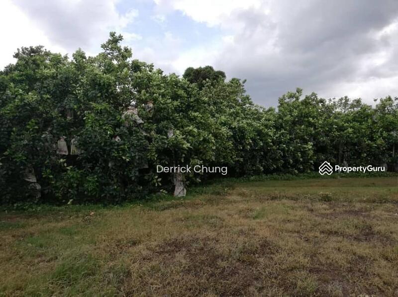 Ampang Gunung Rapat Flat Agriculture Land, Ampang, Ipoh, Perak, , , Agricultural Land For Sale