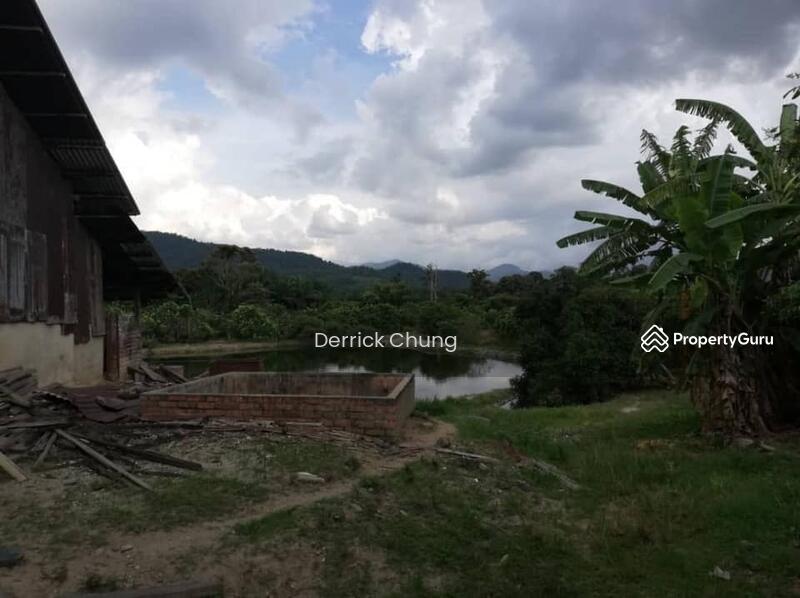 Ampang Gunung Rapat Flat Agriculture Land, Ampang, Ipoh, Perak, , , Agricultural Land For Sale