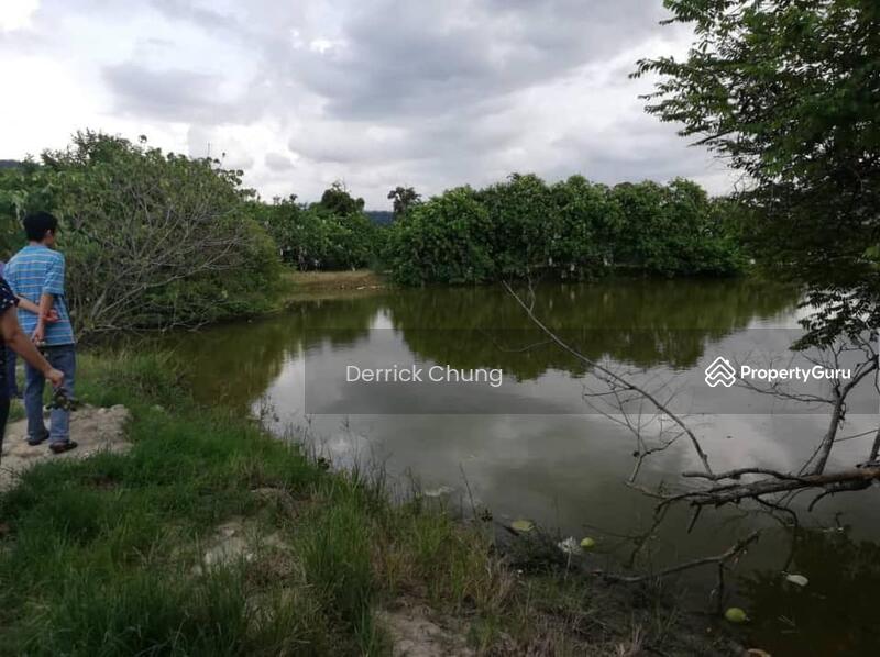 Ampang Gunung Rapat Flat Agriculture Land, Ampang, Ipoh, Perak