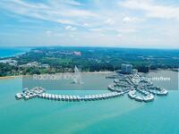 For Sale - Lexis Hibiscus