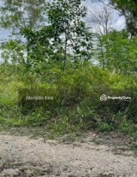 For Sale - Agriculture land at Kota Tinggi