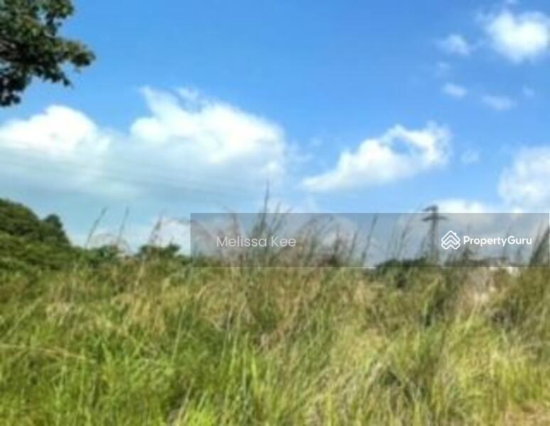 For Sale - Agriculture land at Kota Tinggi