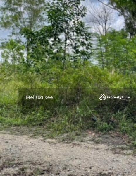 For Sale - Agriculture land at Kota Tinggi