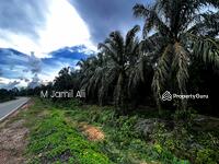 For Sale - Agriculture land at Segamat