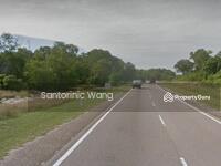 For Sale - Agriculture land at Pekan
