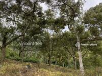 For Sale - Freehold Agricultural Land Karak Bentong