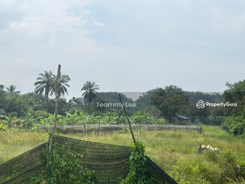Untuk Disewa - 3 Acres Agricultural Land, Jalan Paip, Meru, Desa Bukit Nilam, Klang
