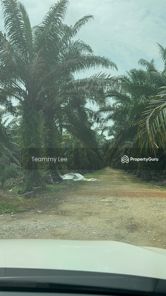 Untuk Disewa - 3 Acres Agricultural Land, Jalan Paip, Meru, Desa Bukit Nilam, Klang
