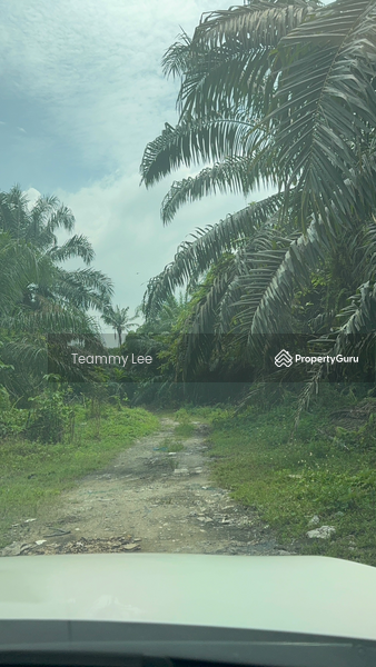 Untuk Disewa - 3 Acres Agricultural Land, Jalan Paip, Meru, Desa Bukit Nilam, Klang
