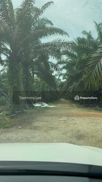 Untuk Disewa - 3 Acres Agricultural Land, Jalan Paip, Meru, Desa Bukit Nilam, Klang