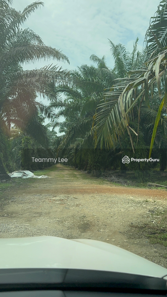Untuk Disewa - 3 Acres Agricultural Land, Jalan Paip, Meru, Desa Bukit Nilam, Klang