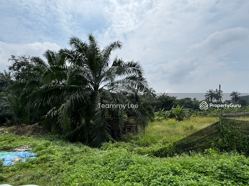 Untuk Disewa - 3 Acres Agricultural Land, Jalan Paip, Meru, Desa Bukit Nilam, Klang