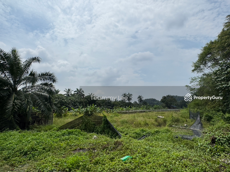 Untuk Disewa - 3 Acres Agricultural Land, Jalan Paip, Meru, Desa Bukit Nilam, Klang