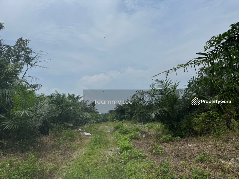 Untuk Disewa - 3 Acres Agricultural Land, Jalan Paip, Meru, Desa Bukit Nilam, Klang