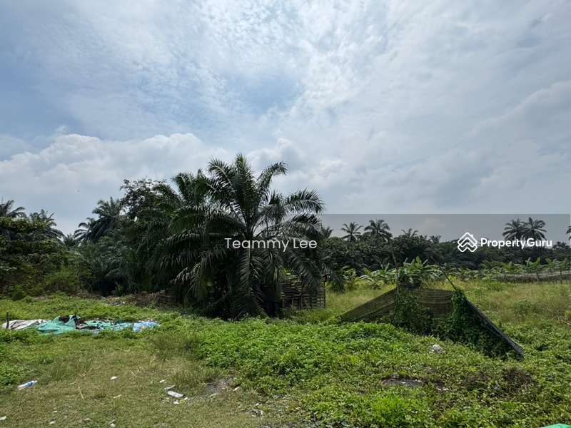 Untuk Disewa - 3 Acres Agricultural Land, Jalan Paip, Meru, Desa Bukit Nilam, Klang