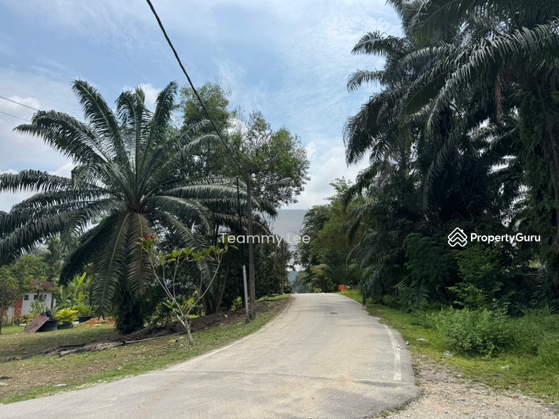 Untuk Disewa - 3 Acres Agricultural Land, Jalan Paip, Meru, Desa Bukit Nilam, Klang