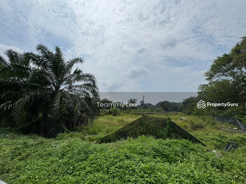 Untuk Disewa - 3 Acres Agricultural Land, Jalan Paip, Meru, Desa Bukit Nilam, Klang
