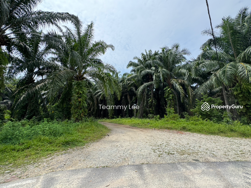 Untuk Disewa - 3 Acres Agricultural Land, Jalan Paip, Meru, Desa Bukit Nilam, Klang