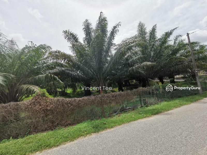 7.745 Acres Zone Residential Freehold Land Mainroad Bemban Melaka untuk Untuk Dijual - RM 9,500,000, Feb 2026 - PropertyGuru.com.my
