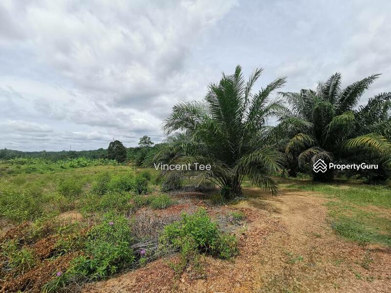 7.745 Acres Zone Residential Freehold Land Mainroad Bemban Melaka untuk Untuk Dijual - RM 9,500,000, Feb 2026 - PropertyGuru.com.my