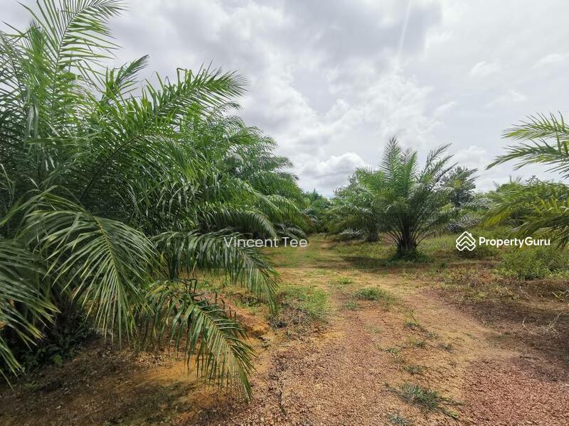 7.745 Acres Zone Residential Freehold Land Mainroad Bemban Melaka untuk Untuk Dijual - RM 9,500,000, Feb 2026 - PropertyGuru.com.my