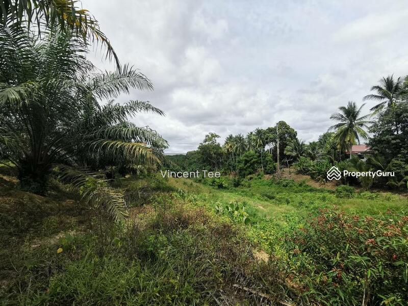 7.745 Acres Zone Residential Freehold Land Mainroad Bemban Melaka untuk Untuk Dijual - RM 9,500,000, Feb 2026 - PropertyGuru.com.my