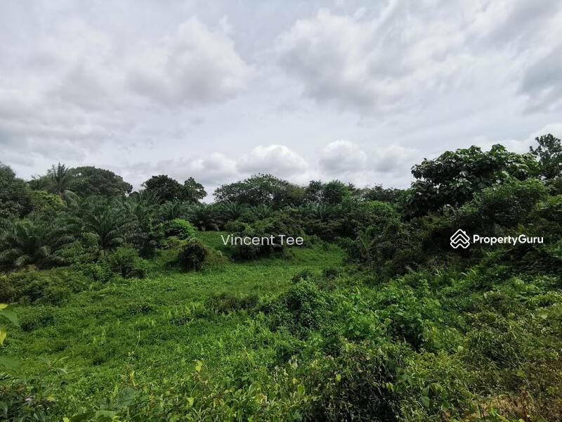 7.745 Acres Zone Residential Freehold Land Mainroad Bemban Melaka untuk Untuk Dijual - RM 9,500,000, Feb 2026 - PropertyGuru.com.my