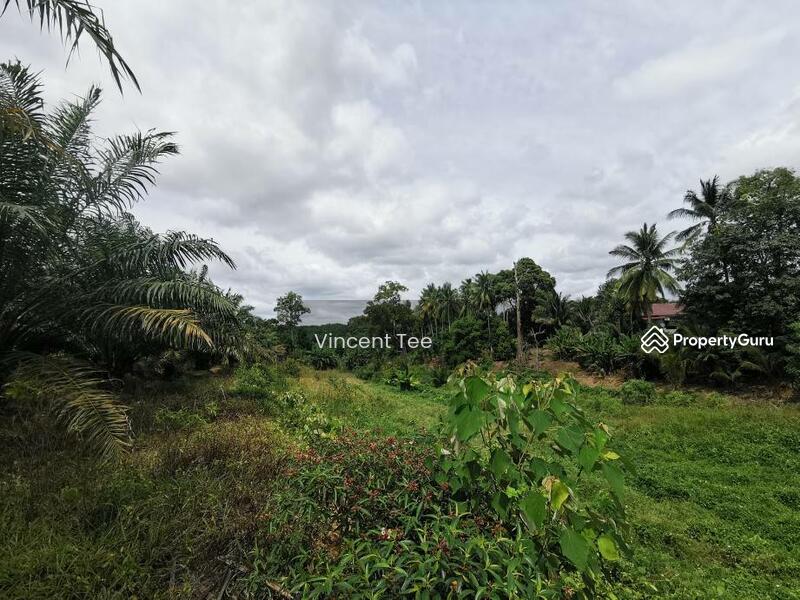 7.745 Acres Zone Residential Freehold Land Mainroad Bemban Melaka untuk Untuk Dijual - RM 9,500,000, Feb 2026 - PropertyGuru.com.my
