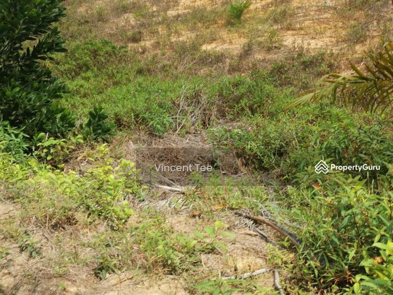 7.745 Acres Zone Residential Freehold Land Mainroad Bemban Melaka untuk Untuk Dijual - RM 9,500,000, Feb 2026 - PropertyGuru.com.my