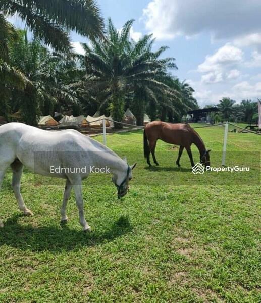 Untuk Dijual - Agriculture Land Village Kota Tinggi